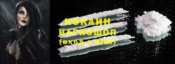 мяу мяу мука Елизово